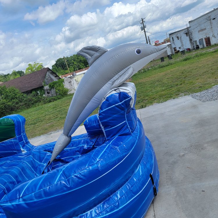 13' Dolphin Pool Slide - Bounce House Rental, Laser Tag, Water